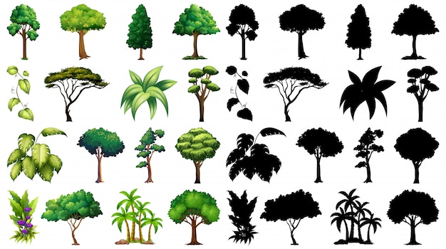 Vector gratuito conjunto de plantas y árboles con su silueta.