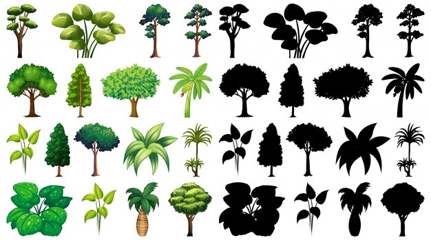 Conjunto de plantas y árboles con su silueta.