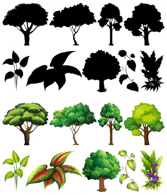 Vector gratuito conjunto de plantas y árboles con su silueta.