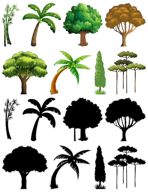 Vector gratuito conjunto de plantas y árboles con su silueta.