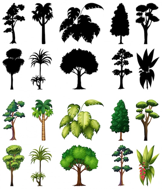 Vector gratuito conjunto de plantas y árboles con su silueta.