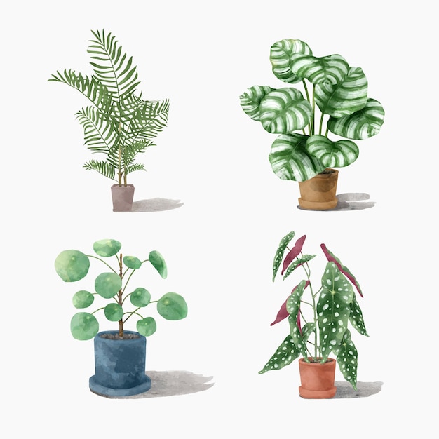 conjunto de plantas botánicas de acuarela