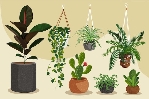 Vector gratuito conjunto de plantas de interior dibujadas a mano