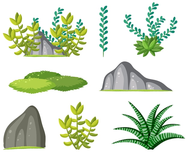 Vector gratuito conjunto de plantas suculentas sobre fondo blanco.