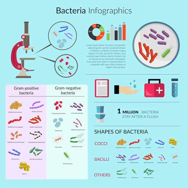 Conjunto de plantillas de infografía de bacterias