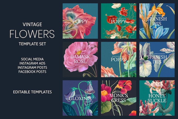 Conjunto de plantillas de vectores de flores vintage, remezclado de obras de arte de dominio público