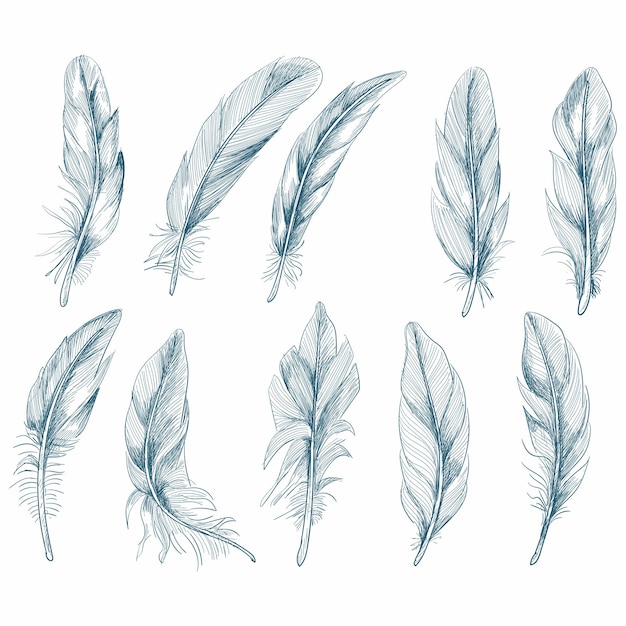 Vector gratuito conjunto de plumas dibujadas a mano sobre fondo blanco