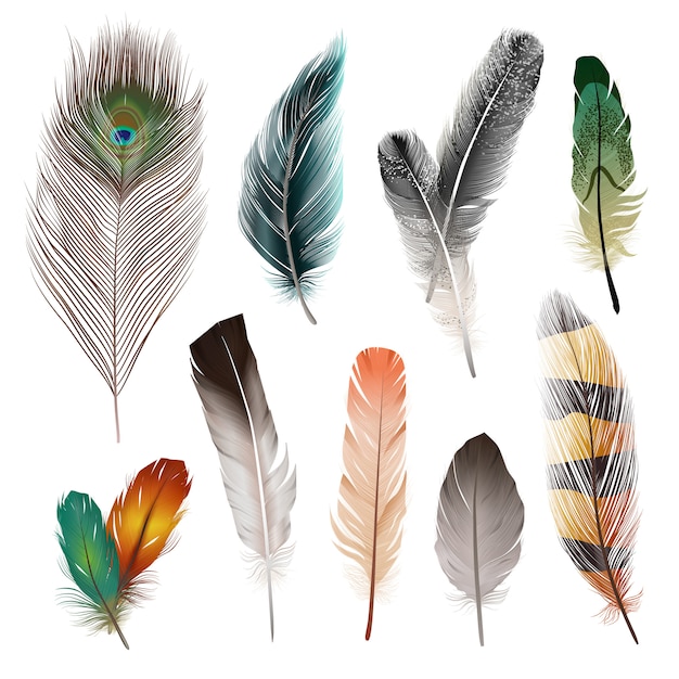 Imágenes de Plumas De Colores - Descarga gratuita en Freepik