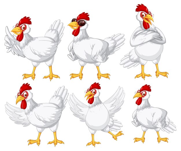Conjunto de pollos de granja diferentes en estilo de dibujos animados