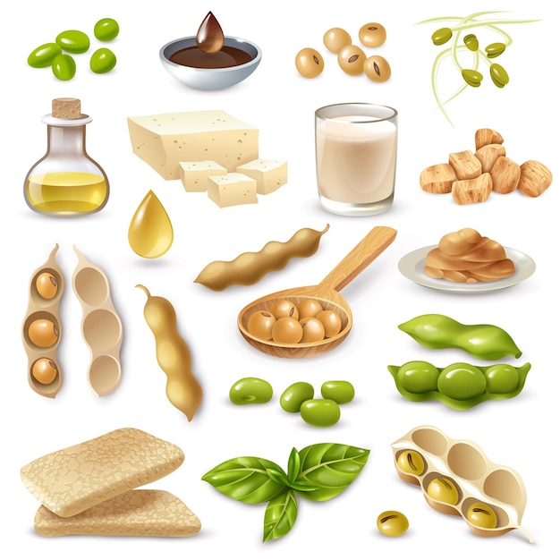 Conjunto de productos alimenticios de soja con frijoles maduros y hojas verdes en blanco aislado
