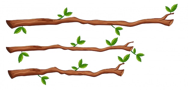 para agregar Justicia Indulgente Vectores e ilustraciones de Rama arbol para descargar gratis | Freepik para agregar Justicia Indulgente Vectores e ilustraciones de Rama arbol para descargar gratis | Freepik