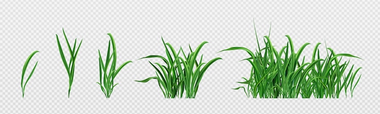 Vector gratuito conjunto realista de brotes de hierba verde