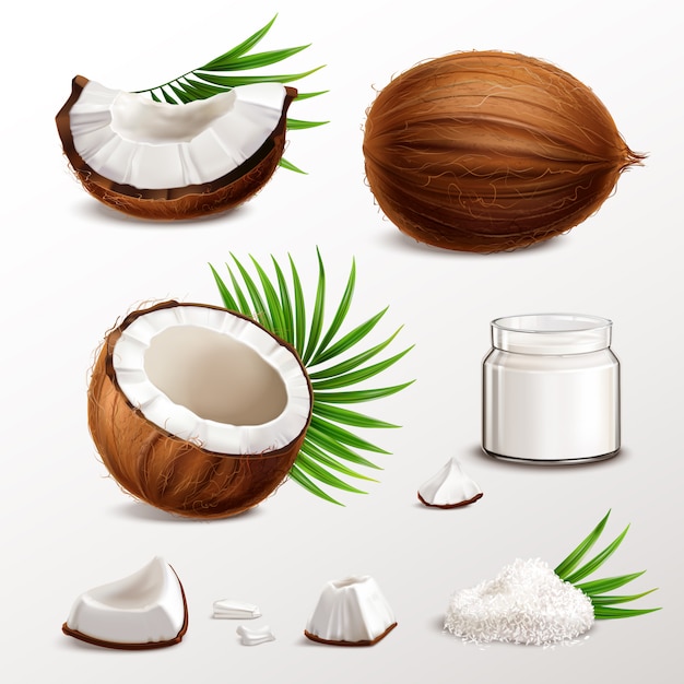 Conjunto realista de coco con segmentos de nuez trozos de carne tarro leche en polvo hojuelas secas hojas de palma ilustración