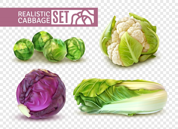 Conjunto realista con coles de Bruselas coliflor col china aislado en transparente