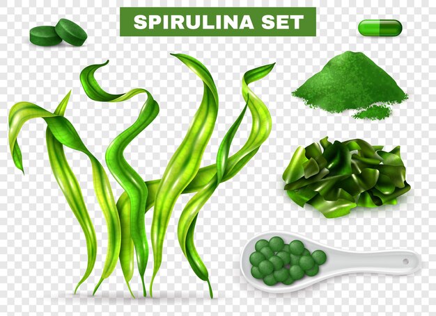 Conjunto realista de espirulina