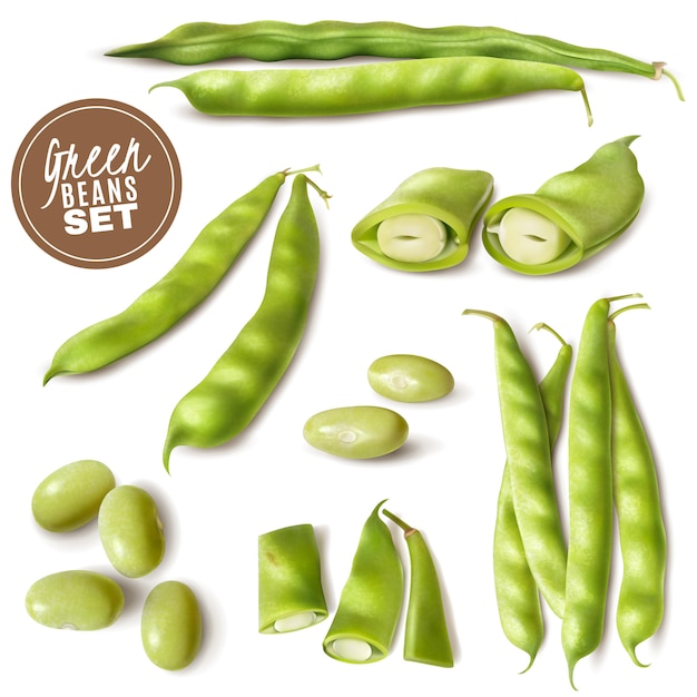 Conjunto realista de frijoles verdes del mercado de agricultores frescos con vainas enteras y cortadas listas para cocinar ilustración vectorial