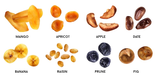 Conjunto realista de frutas secas