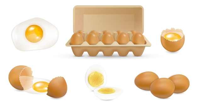 Conjunto realista de huevos marrones con imágenes aisladas de huevos enteros revueltos y rotos con ilustración vectorial de diez paquetes