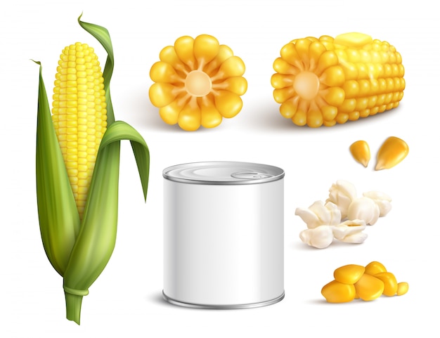 Vector gratuito conjunto realista de maíz
