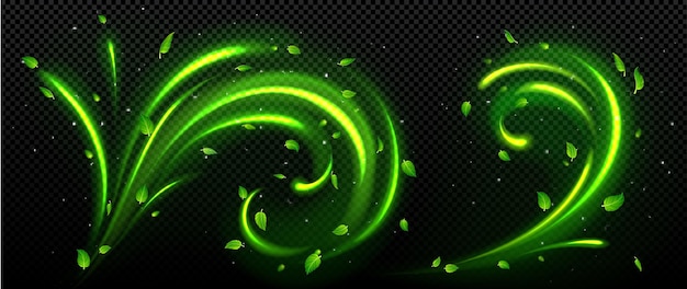 Conjunto de remolinos abstractos de aire fresco con hojas verdes