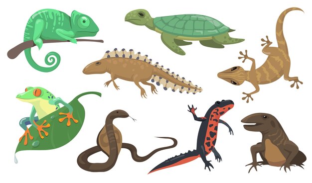 Conjunto de reptiles y anfibios. Tortuga, lagarto, tritón, gecko aislado sobre fondo de mierda. Ilustración de vector de animales, vida silvestre, concepto de fauna de la selva