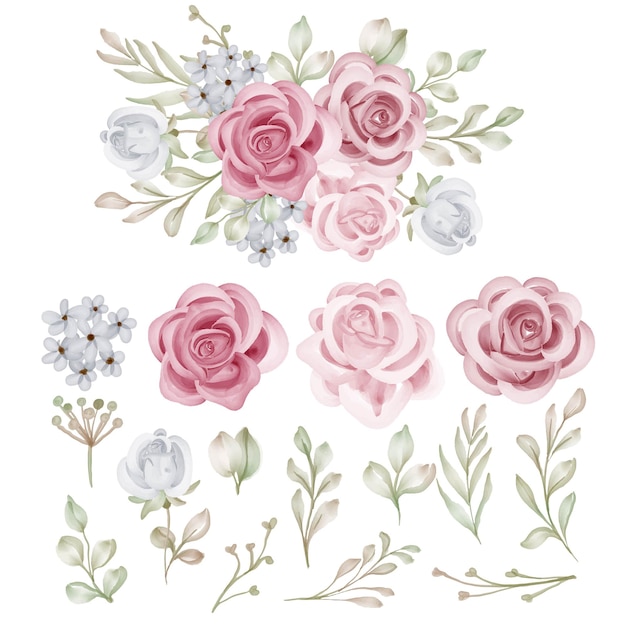 Conjunto, de, rosa, aislado, floral, rosa, rosa clip art