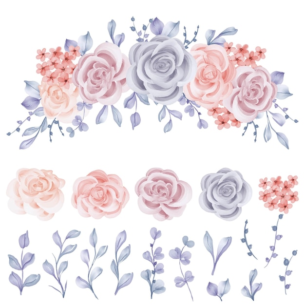 Conjunto, de, rosa, invierno, aislado, floral, rosa, azul, hojas, clipart