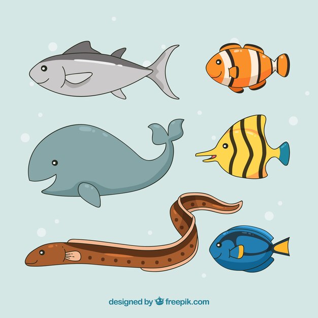 Conjunto de seis peces