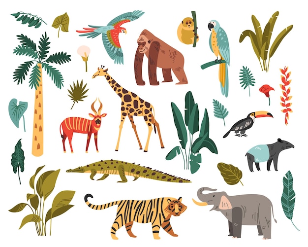 Conjunto de la selva de iconos aislados con aves exóticas y animales salvajes con plantas tropicales y árboles ilustración vectorial