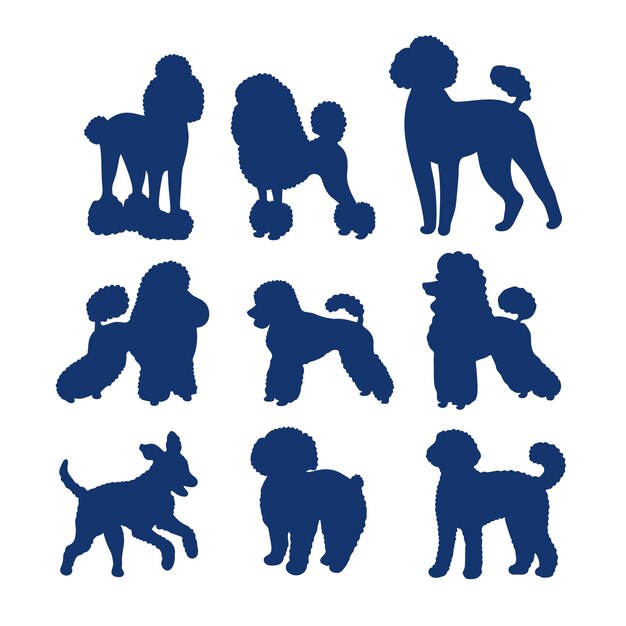 Conjunto de silueta de caniche de diseño plano