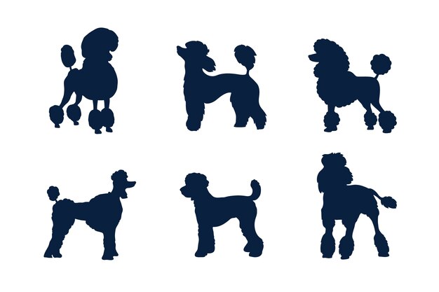 Conjunto de silueta de caniche de diseño plano