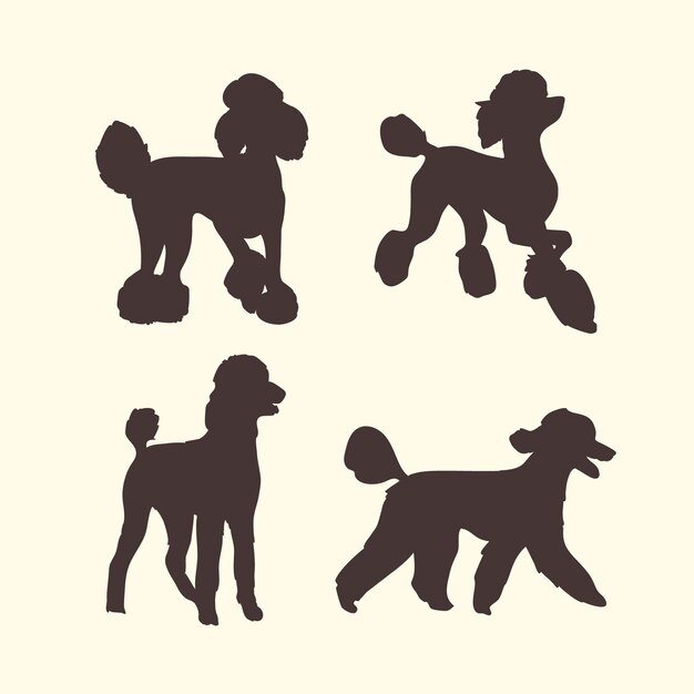 Conjunto de silueta de caniche de diseño plano