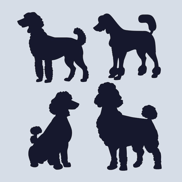 Vector gratuito conjunto de silueta de caniche de diseño plano