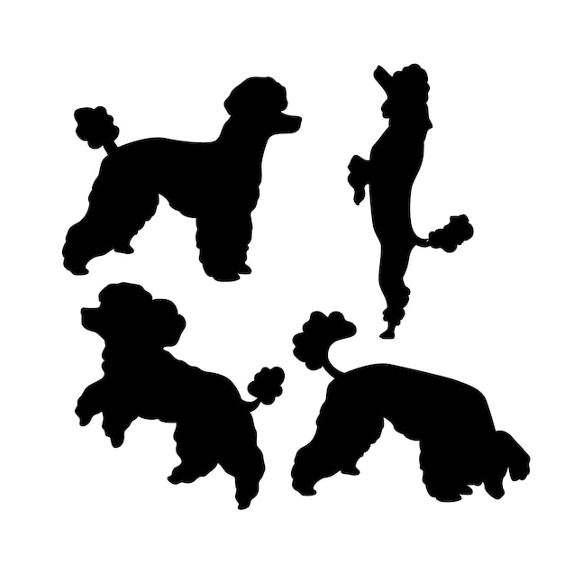 Conjunto de silueta de caniche de diseño plano