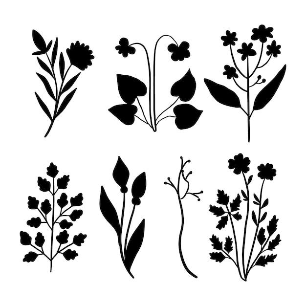 Conjunto de silueta de flor dibujada a mano