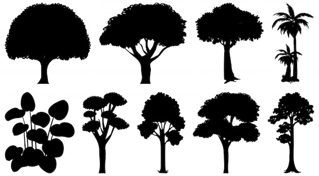 Conjunto de silueta de planta y árbol