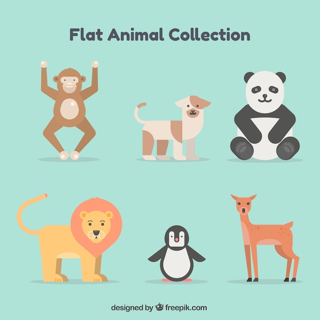 Conjunto típico de animales con diseño plano