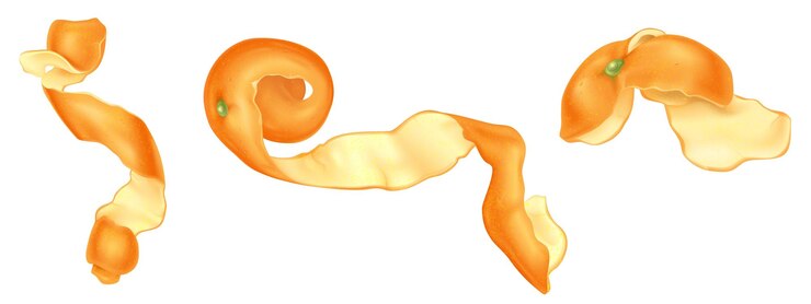 Vector gratuito conjunto de tiras en espiral de cáscara de naranja