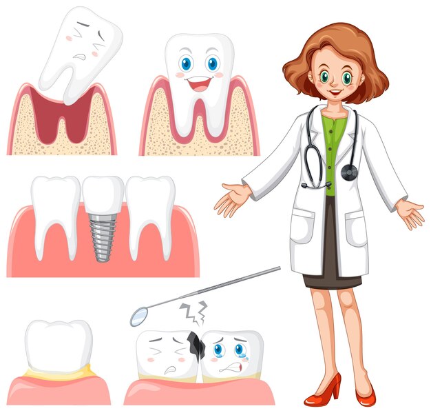 Conjunto de todo tipo de dientes sobre fondo blanco.