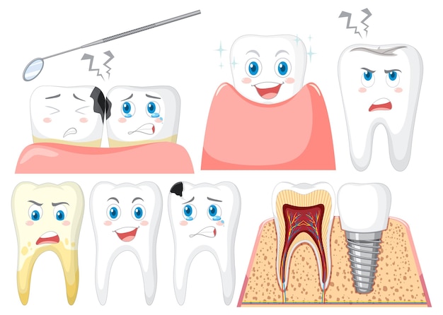 Vector gratuito conjunto de todo tipo de dientes sobre fondo blanco.