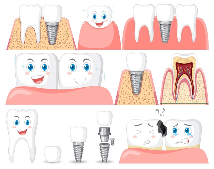 Vector gratuito conjunto de todo tipo de dientes sobre fondo blanco.