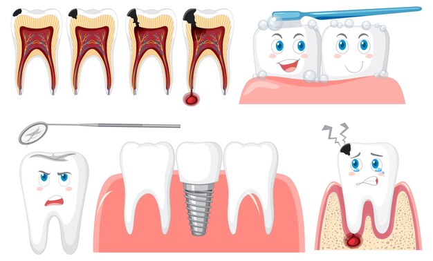Conjunto de todo tipo de dientes sobre fondo blanco.