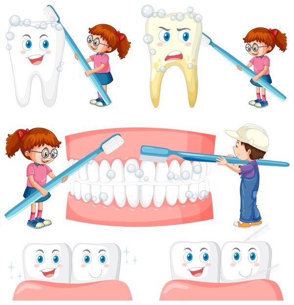 Conjunto de todo tipo de dientes sobre fondo blanco.