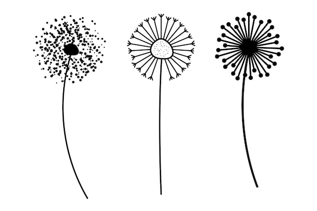 Vector gratuito conjunto de tres dientes de león diferentes