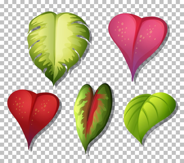 Vector gratuito conjunto de variedad de hojas de plantas tropicales sobre fondo transparente