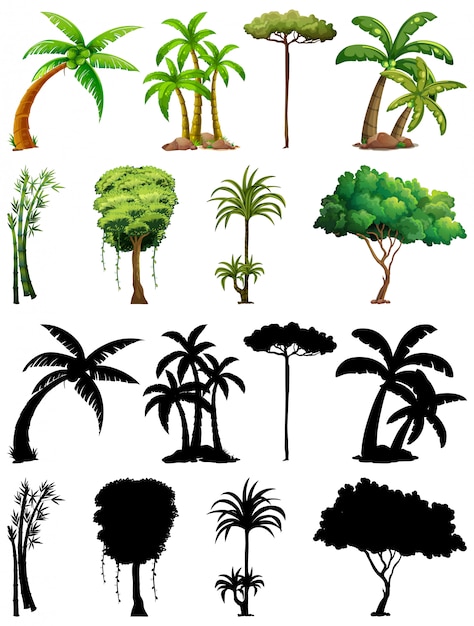 Vector gratuito conjunto de variedad de plantas y árboles.