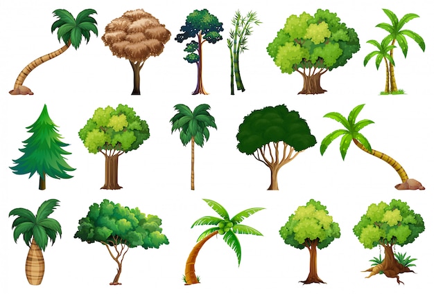 Conjunto de variedad de plantas y árboles.