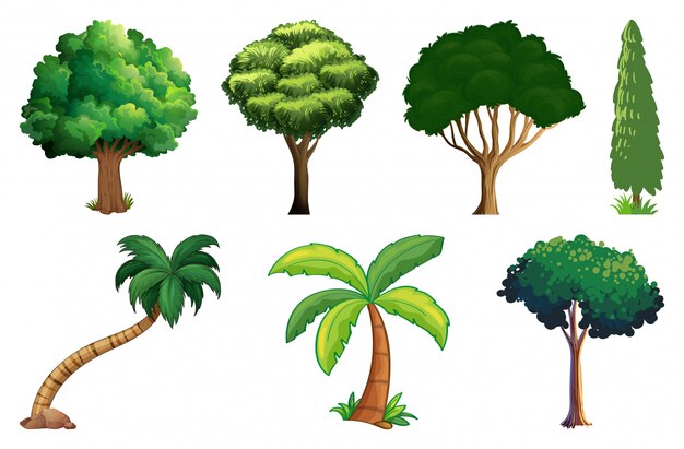 Conjunto de variedad de plantas y árboles.