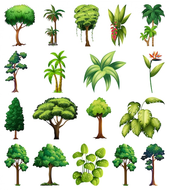 Vector gratuito conjunto de variedad de plantas y árboles.