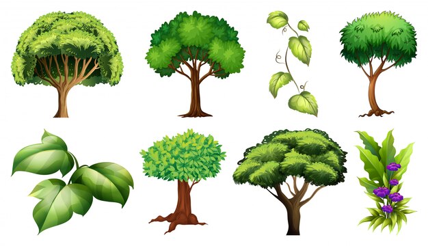 Conjunto de variedad de plantas y árboles.